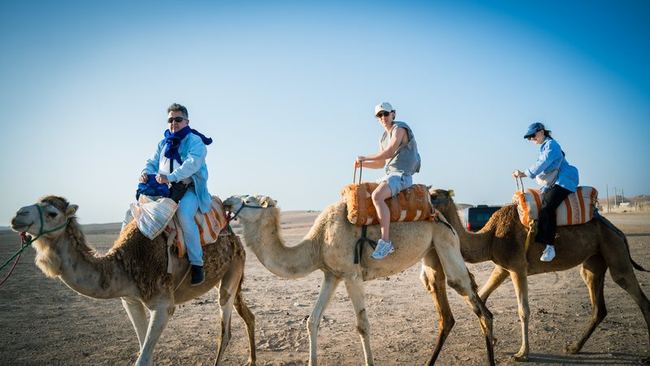 Travel & Adventure photo 2 - ROMO PROD